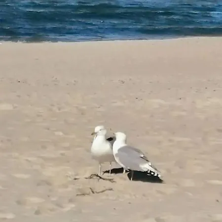 2 Zimmerwohnung In *