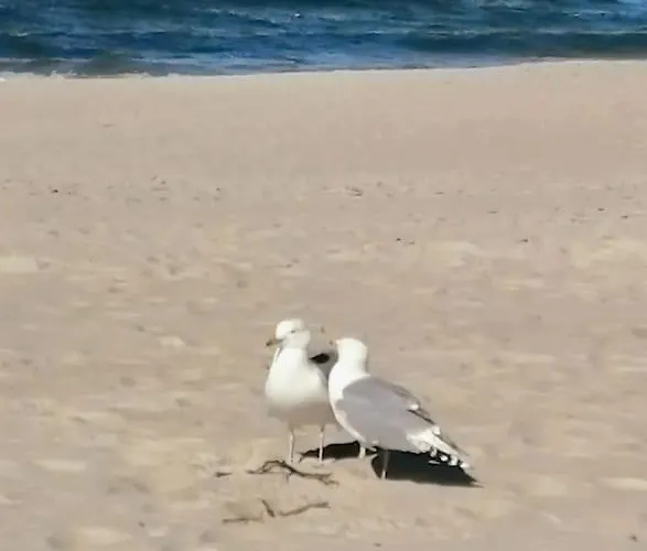 2 Zimmerwohnung In *